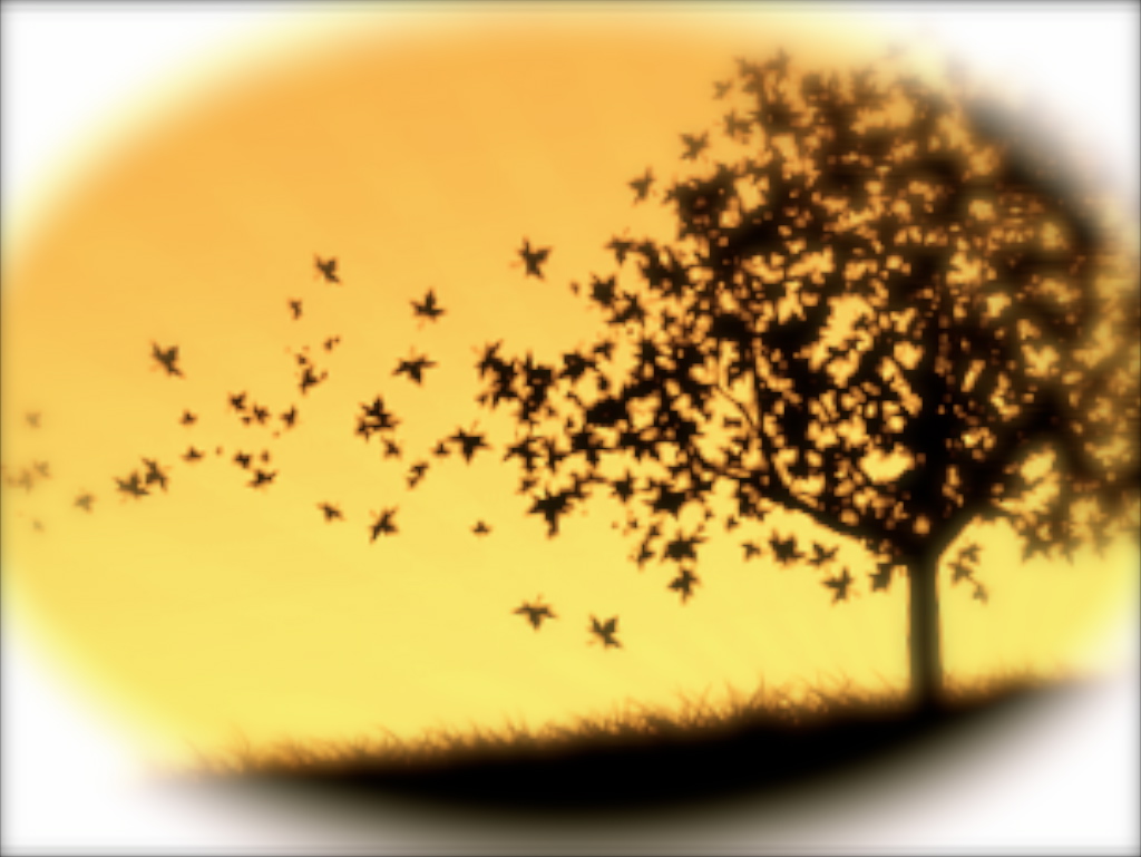 929145166_jApxQdw2_palavra_1024