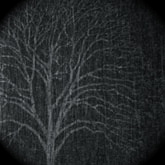 Quanta hipocrisia anda solta por aí....